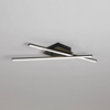 Ceiling Light Acrylic Twist Shape