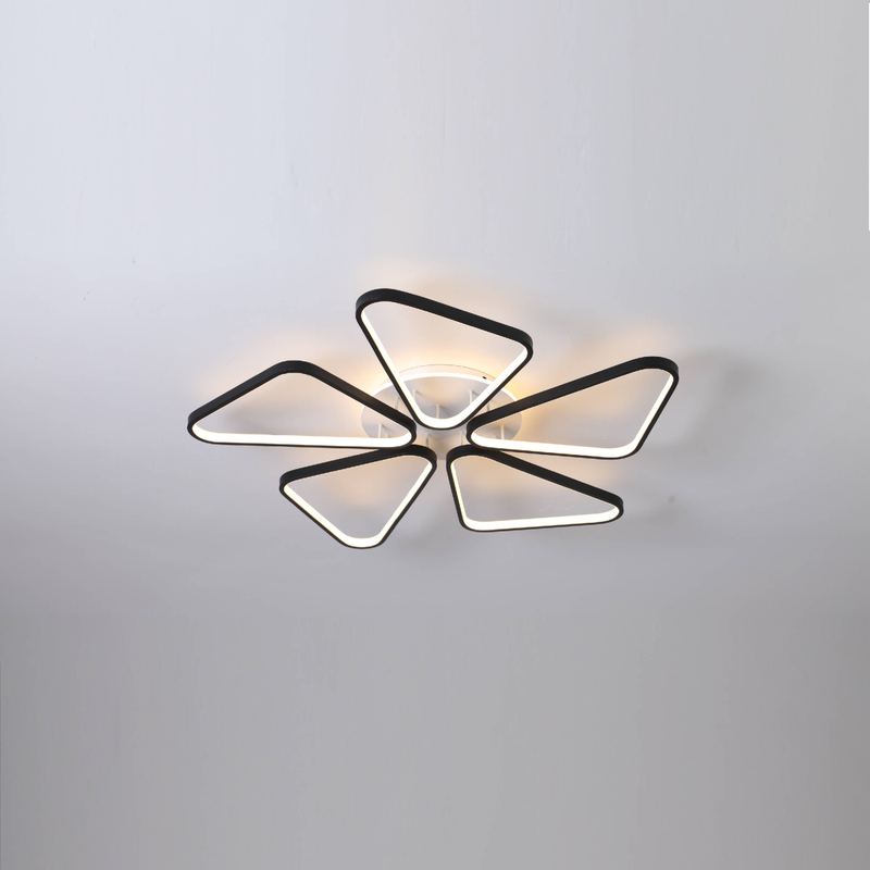 5 light elements LED ceiling lamp