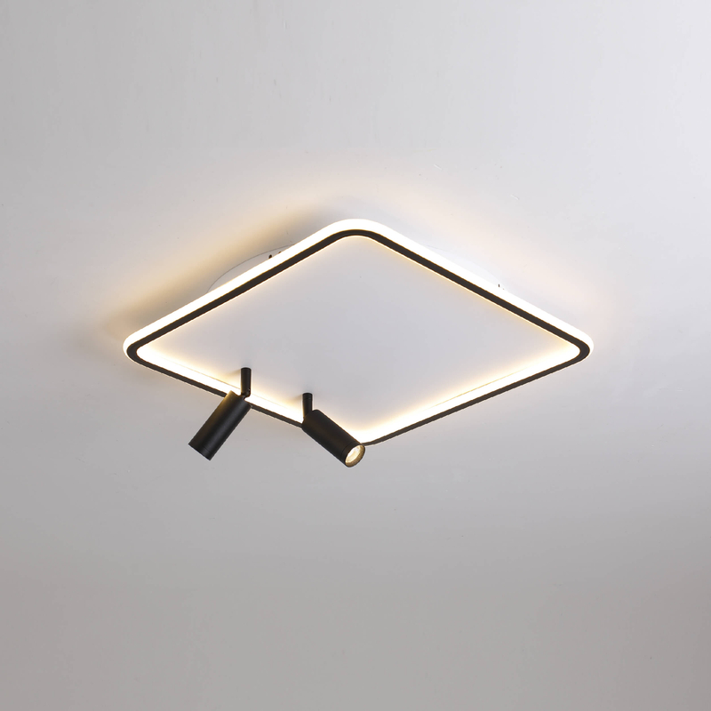 two spot led ceiling light
