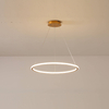 one rings with gold base led pendant light