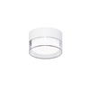 whole white gx53 down light