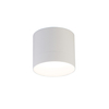 whole white gx53 down light