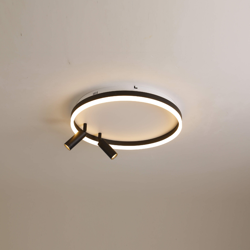 double spot led ceiling light 