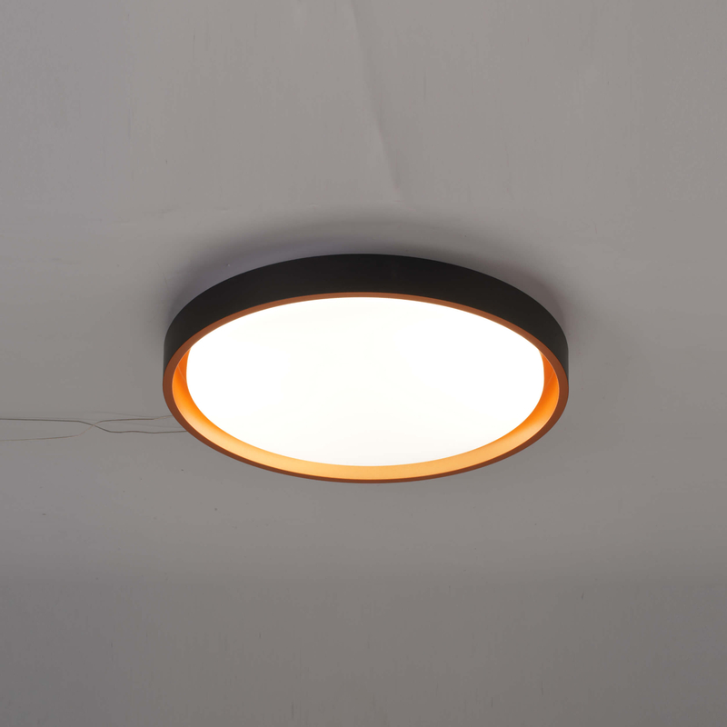 Eco-Friendly Wood and Metal Ceiling Light Fixture