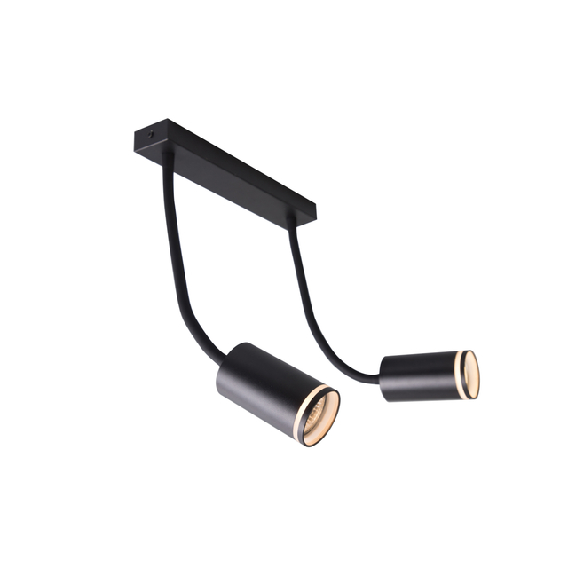 dual light head spot light black downlight