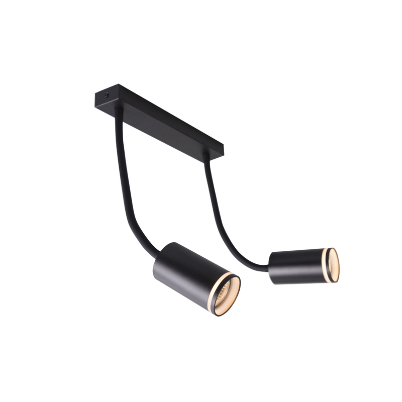 dual light head spot light black downlight