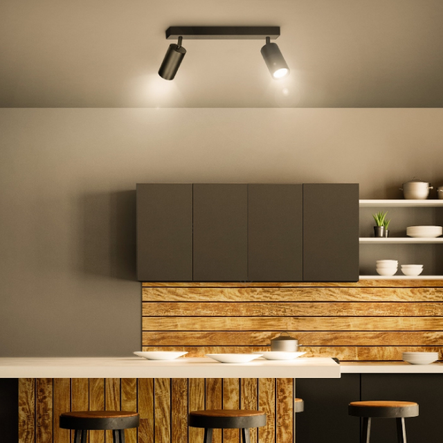 2xGU10-lampy-sufitowe.jpg