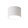 white gx53 down light
