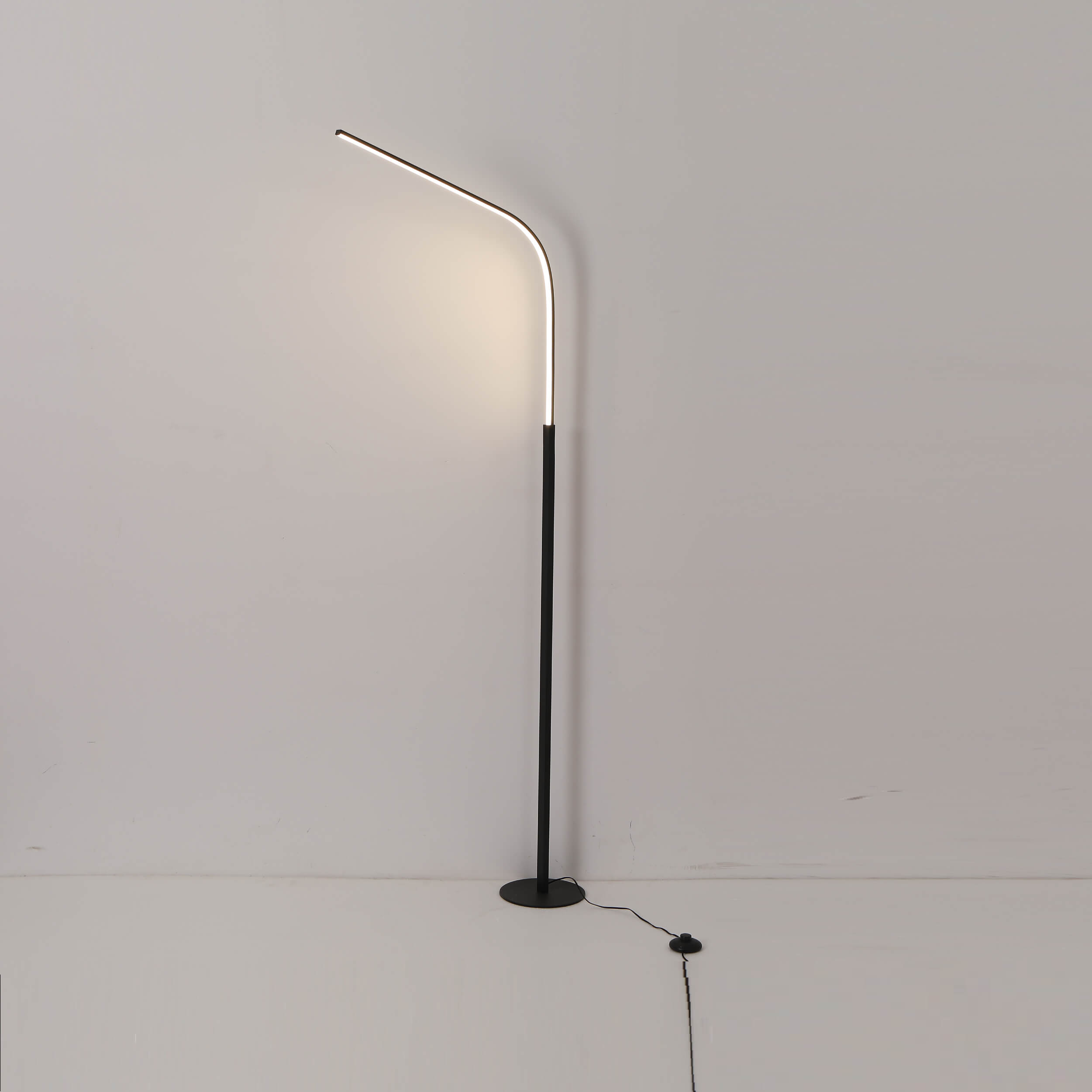 Stylish Modern LED Floor Lamps