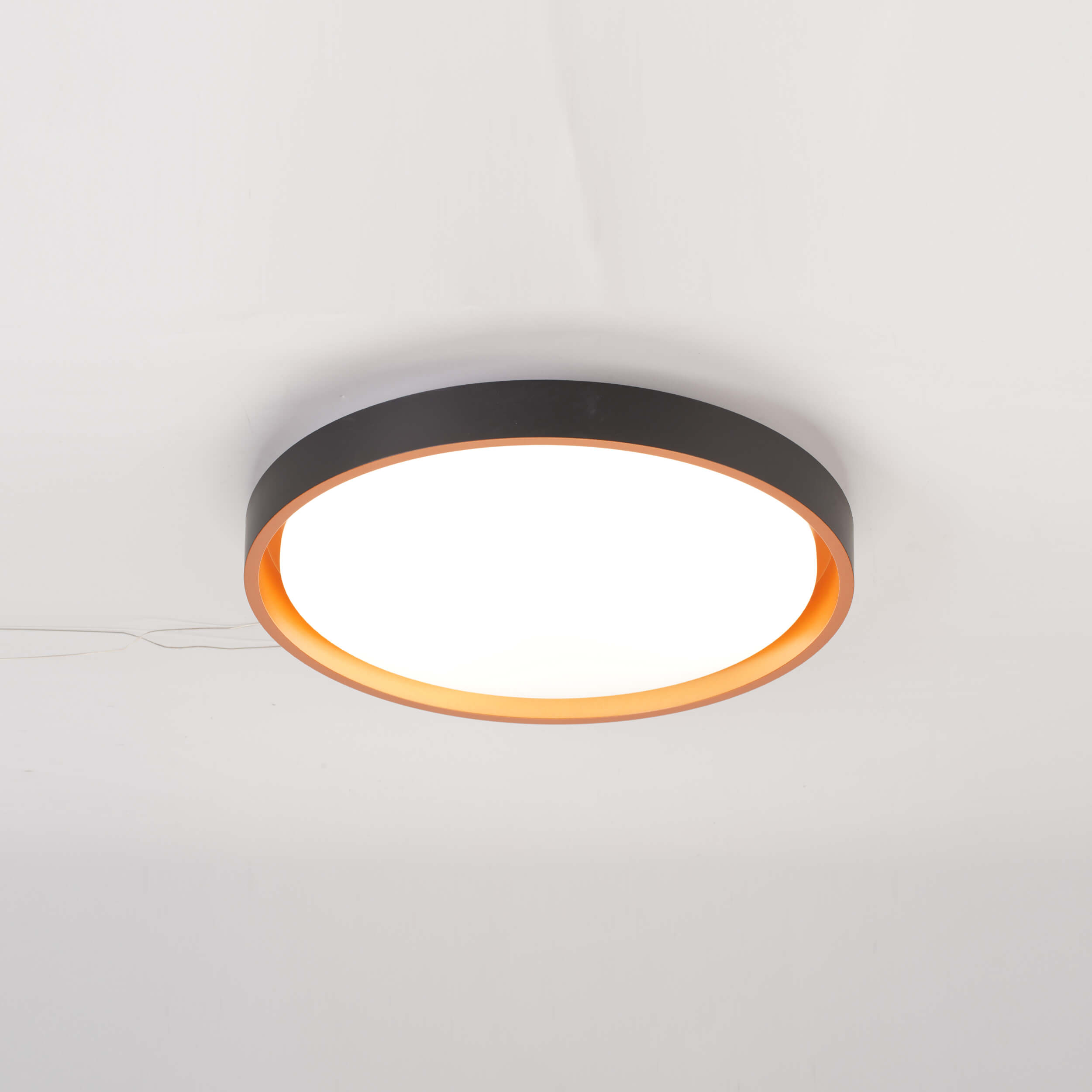Modern Wooden Ceiling Lamp with Natural Grain Accents