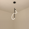 Acrylic black LED pendant light