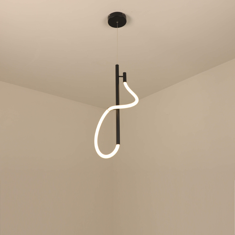 Acrylic black LED pendant light