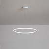 one rings led pendant light