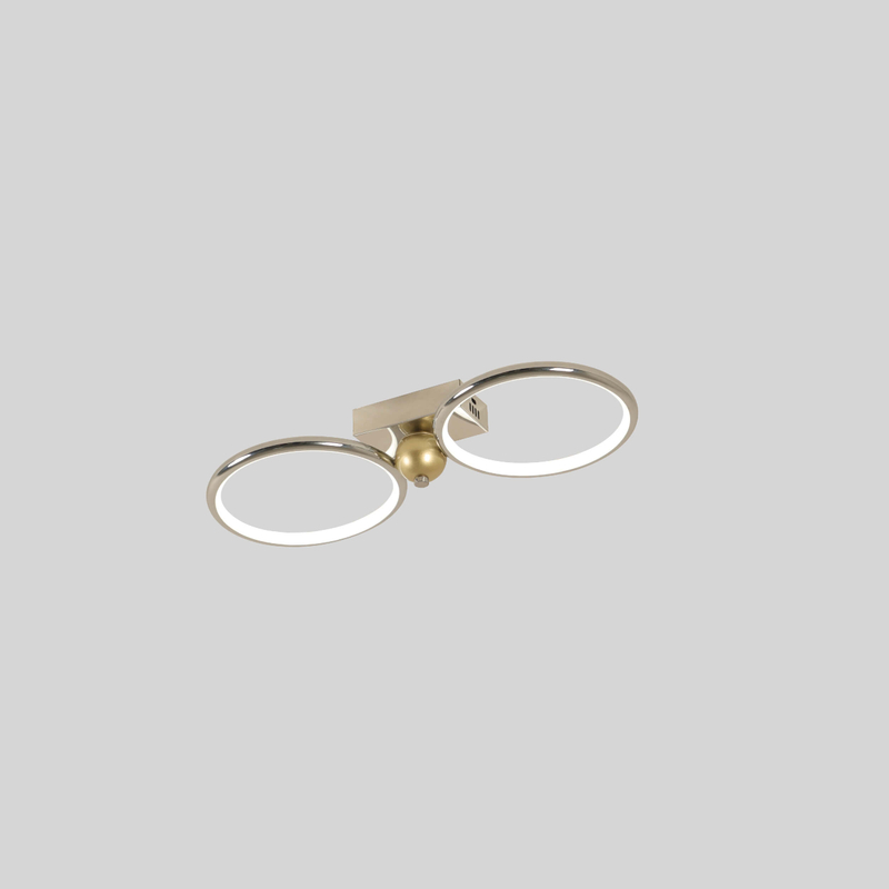 two rings metal led ceiling light