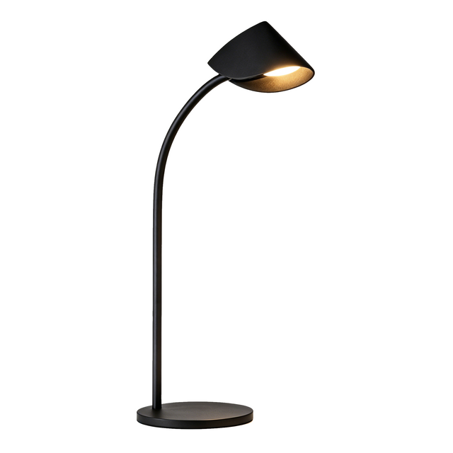 G9 Desk Light RL-SMP199